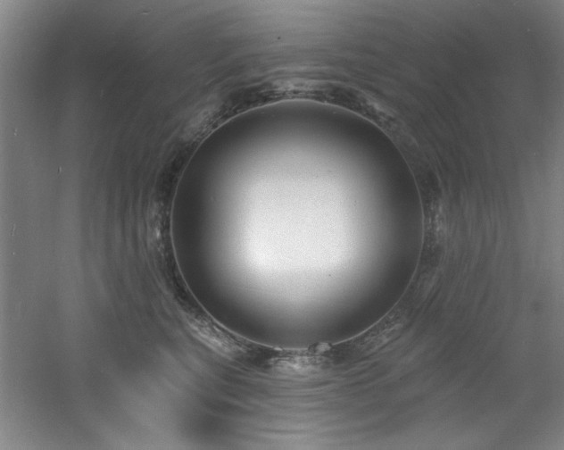 X0000060790567200511101421