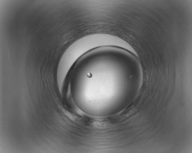 X0000060790568200511101421