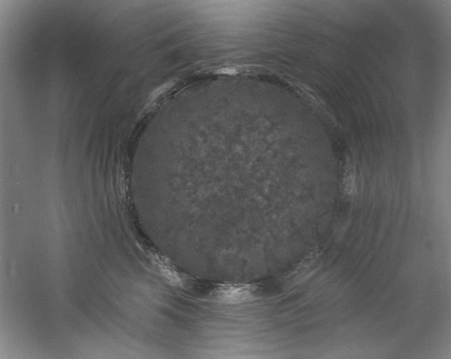 X0000060790569200511101421