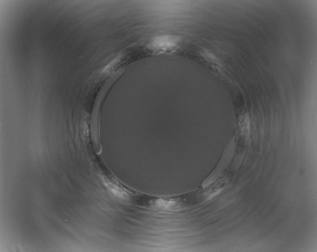 X0000060790570200511101421