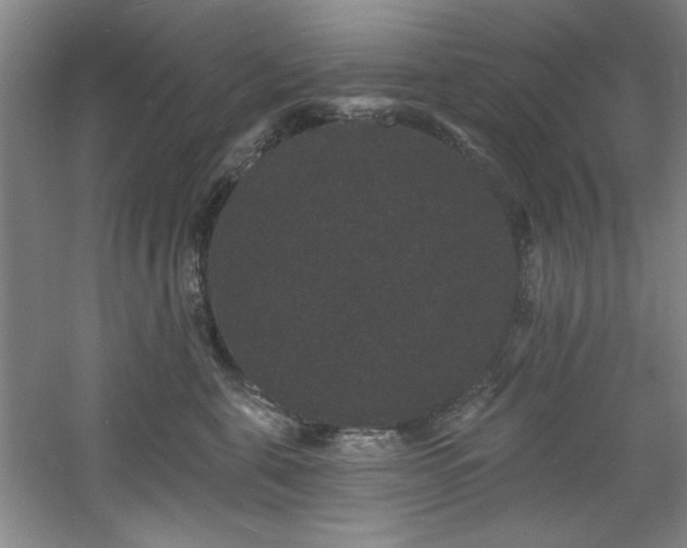 X0000060790571200511101422