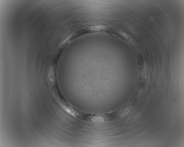 X0000060790572200511101422