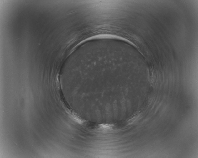 X0000060790573200511101422