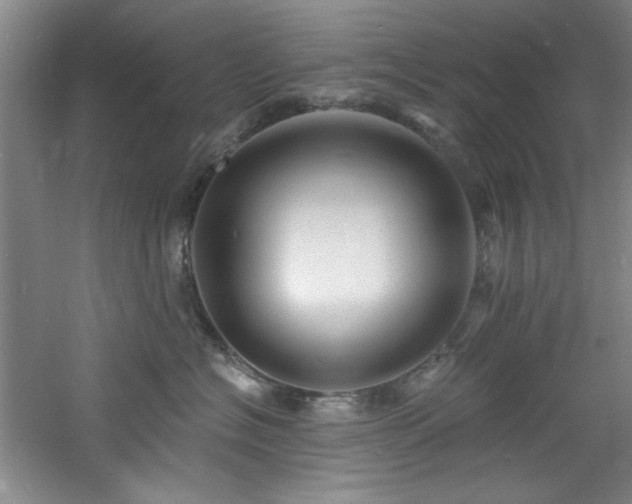 X0000060790574200511101422