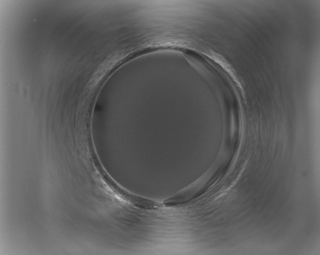 X0000060790577200511101421