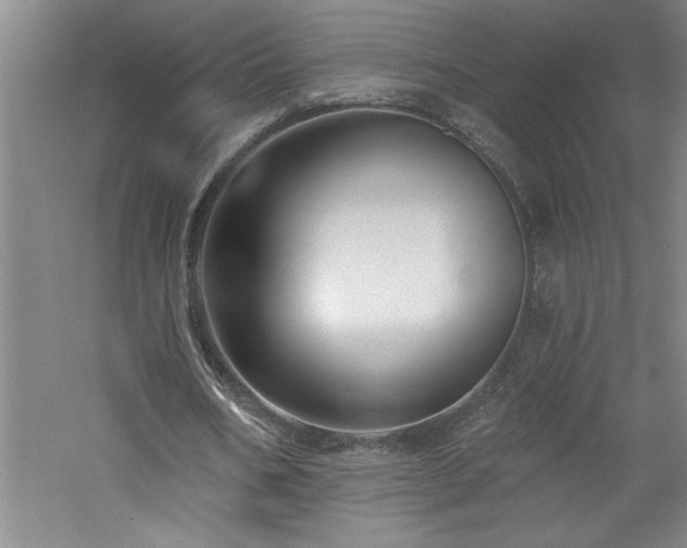 X0000060790578200511101421