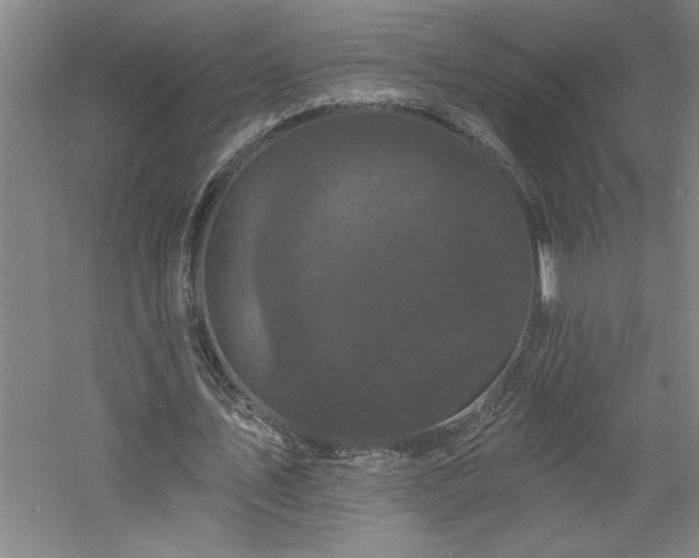 X0000060790579200511101421