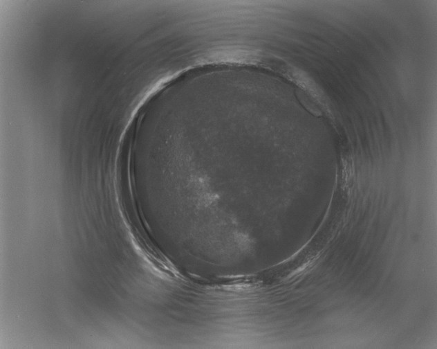 X0000060790580200511101421