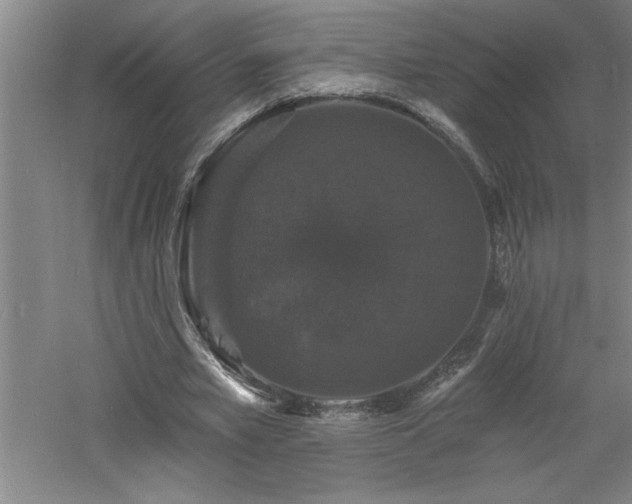 X0000060790581200511101421