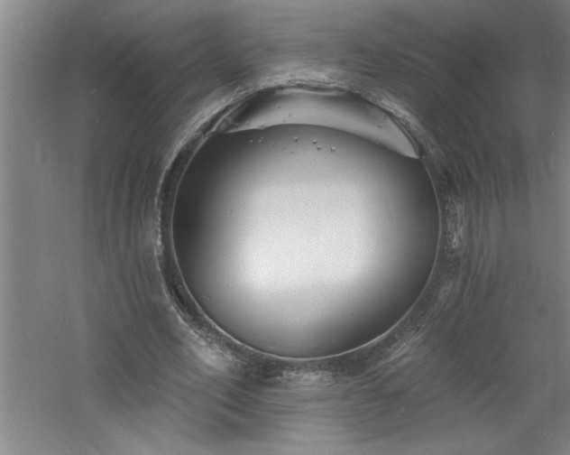 X0000060790582200511101421