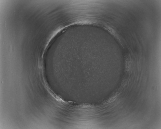 X0000060790584200511101421