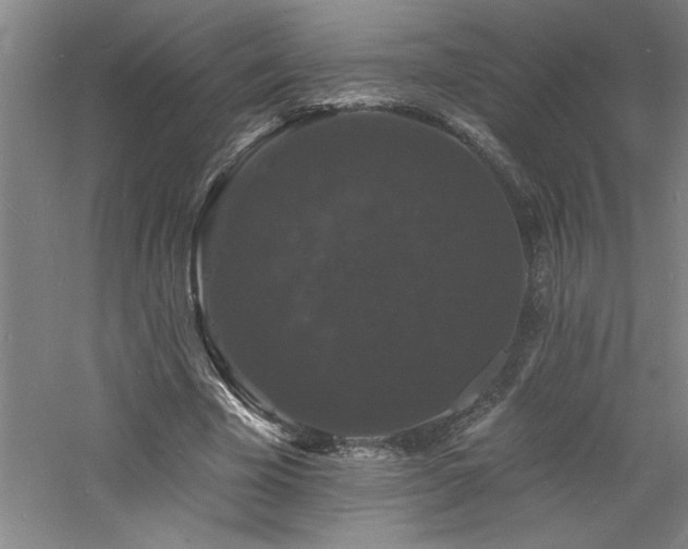 X0000060790585200511101421