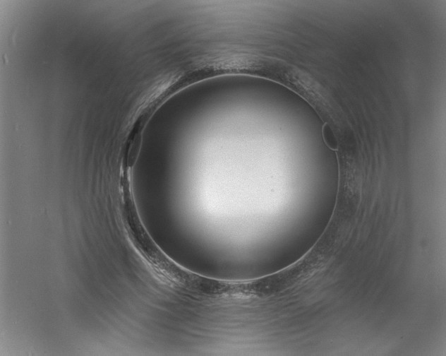 X0000060790586200511101421