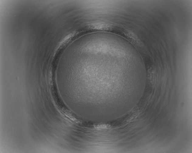 X0000060790587200511101421