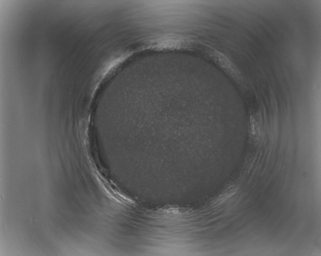 X0000060790588200511101421