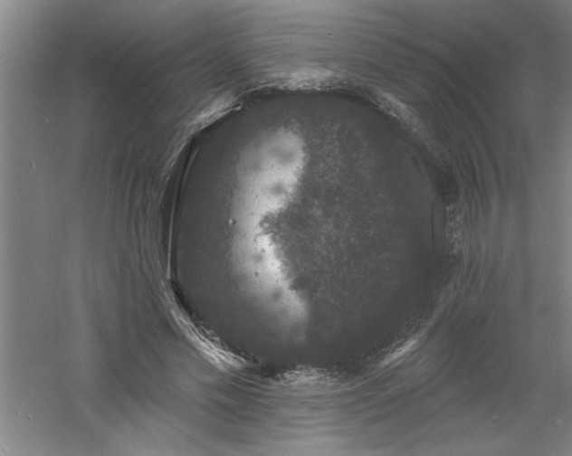 X0000060790589200511101421