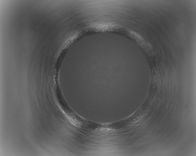 X0000060790590200511101421