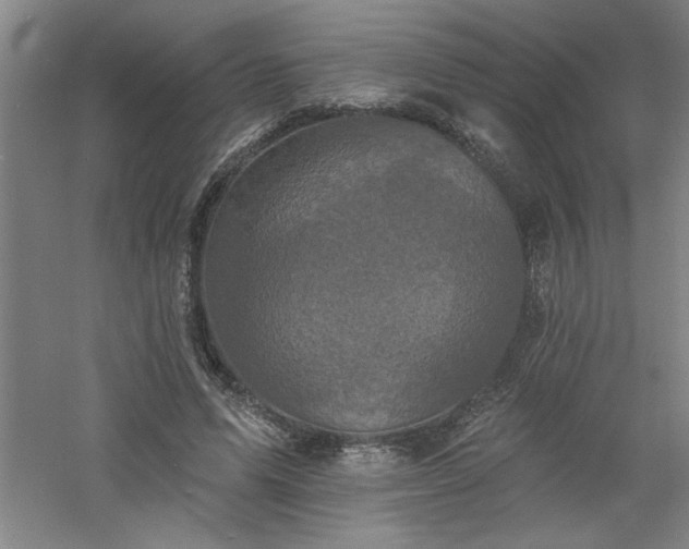 X0000060790591200511101421