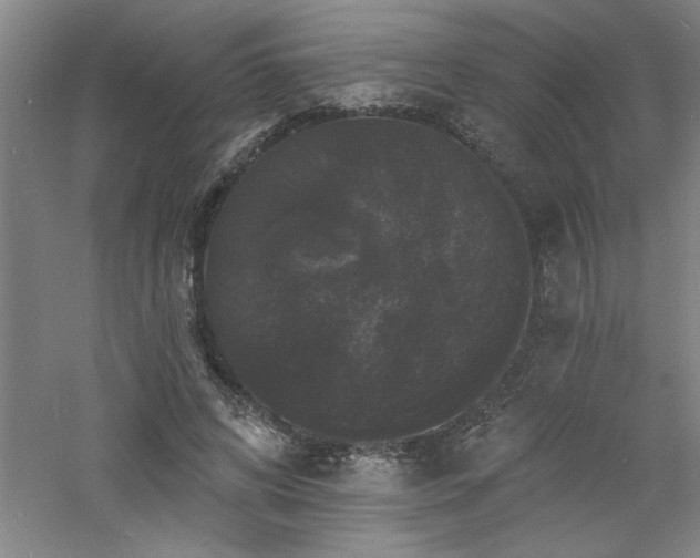 X0000060790592200511101421