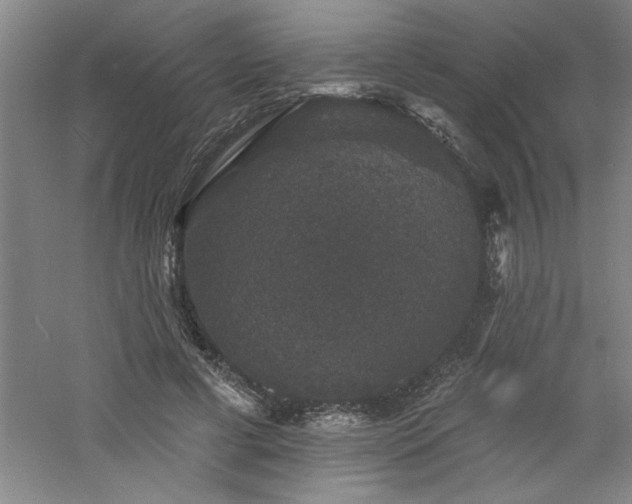 X0000060790593200511101421