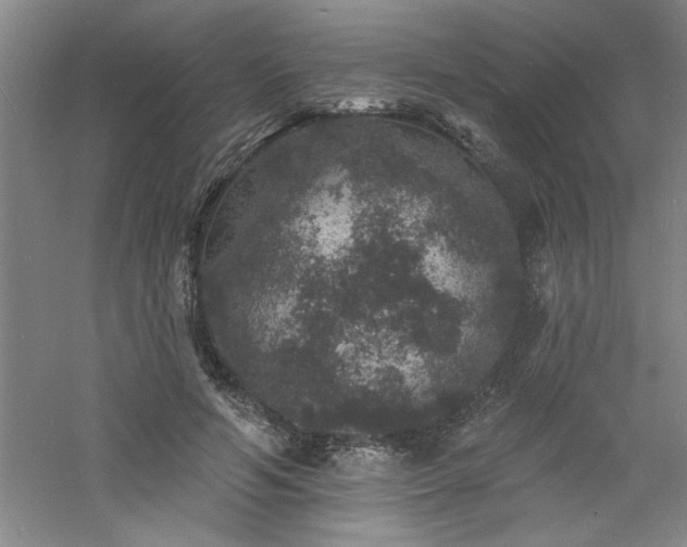 X0000060790594200511101420