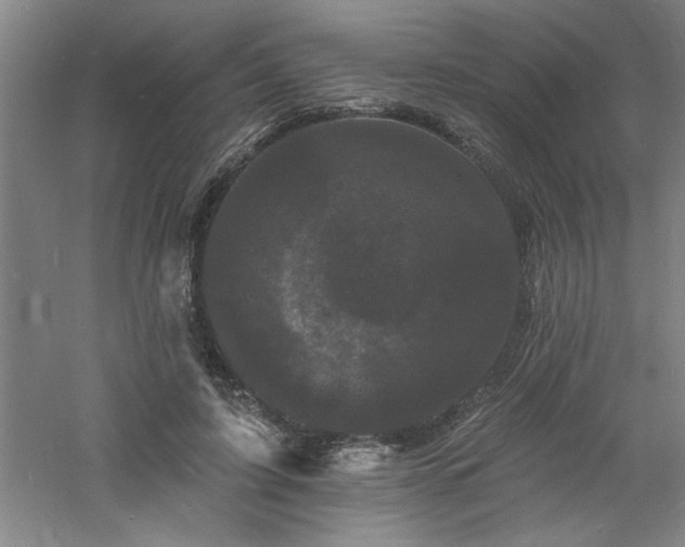 X0000060790595200511101420