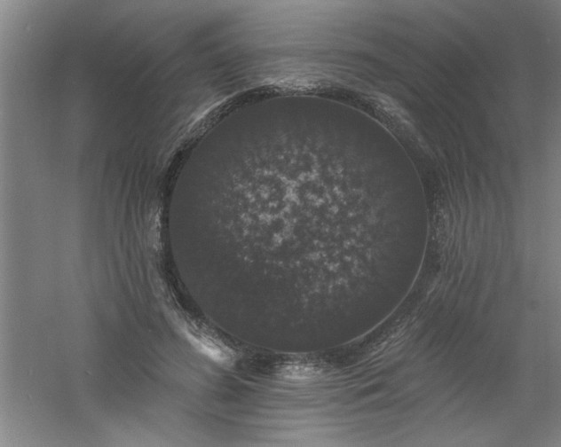 X0000060790596200511101420