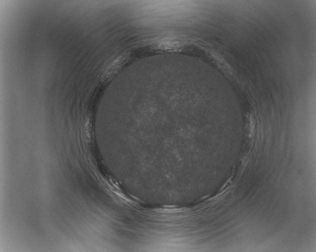 X0000060790597200511101420