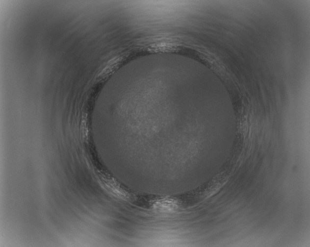 X0000060790599200511101420