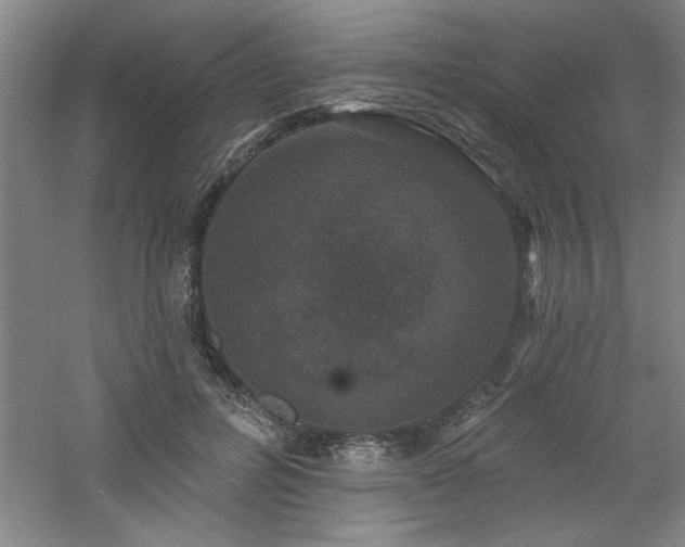 X0000060790600200511101420