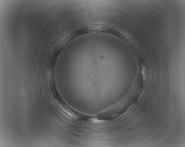 X0000060790601200511101420