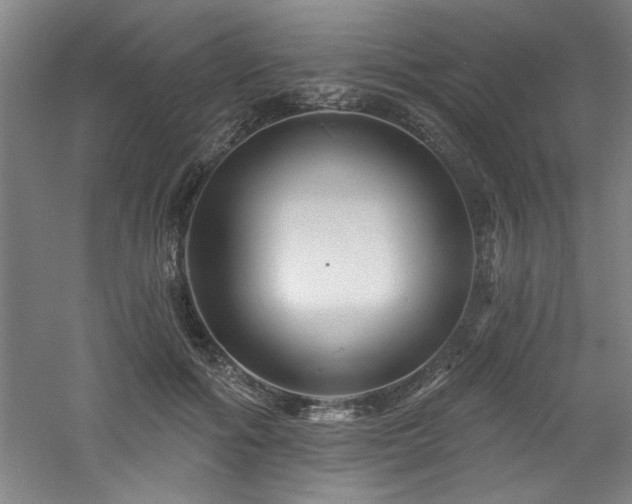 X0000060790602200511101420