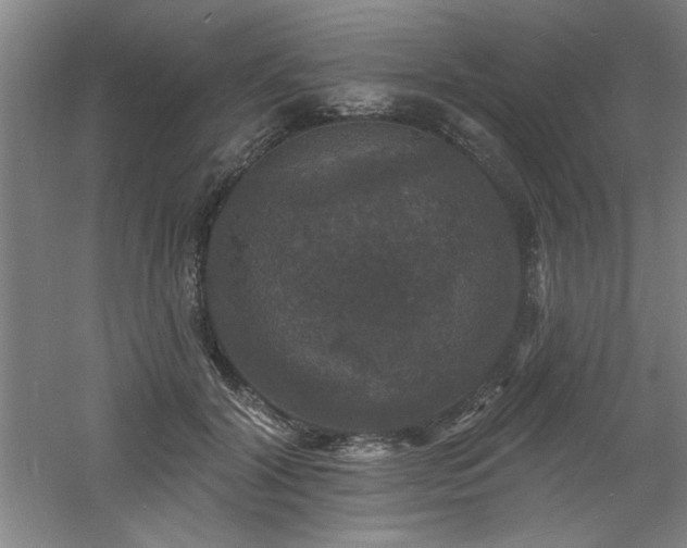 X0000060790604200511101420