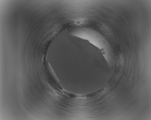 X0000060790606200511101420