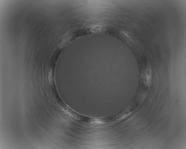 X0000060790610200511101420