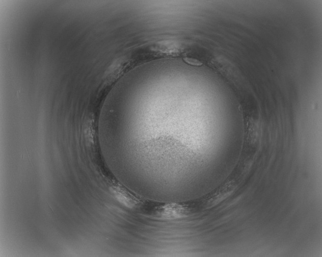 X0000060790612200511101420