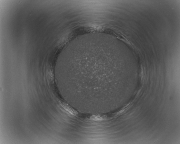 X0000060790613200511101420