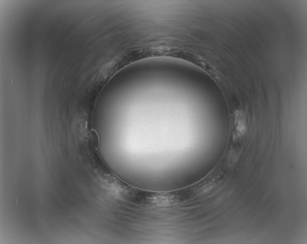 X0000060790615200511101420