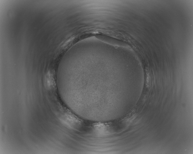 X0000060790616200511101420