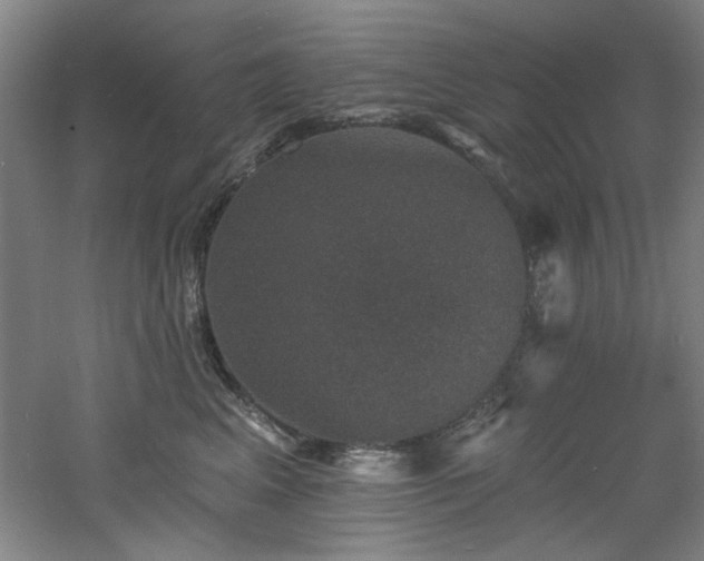 X0000060790617200511101420