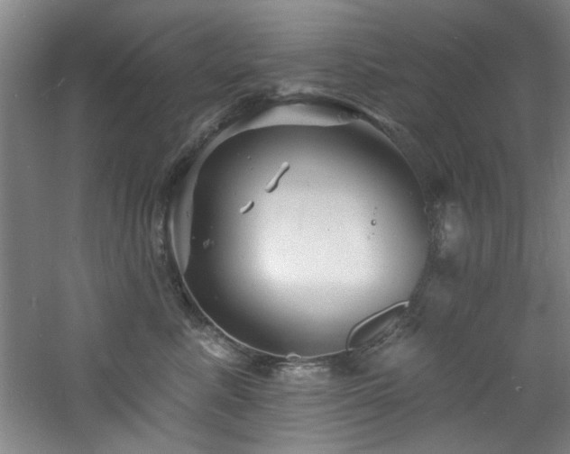 X0000060790619200511101420