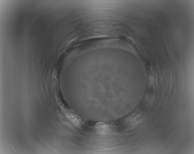 X0000060790620200511101420