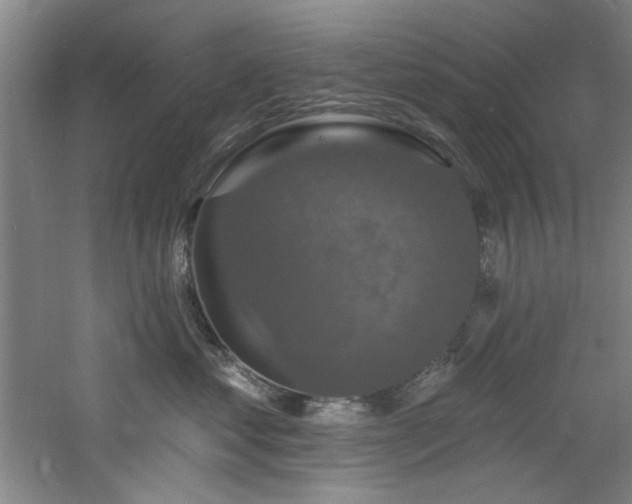 X0000060790621200511101420