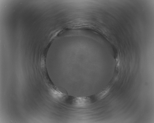 X0000060790623200511101420