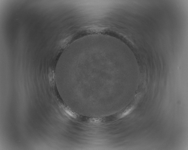 X0000060790624200511101420