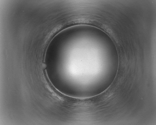 X0000060790625200511101419