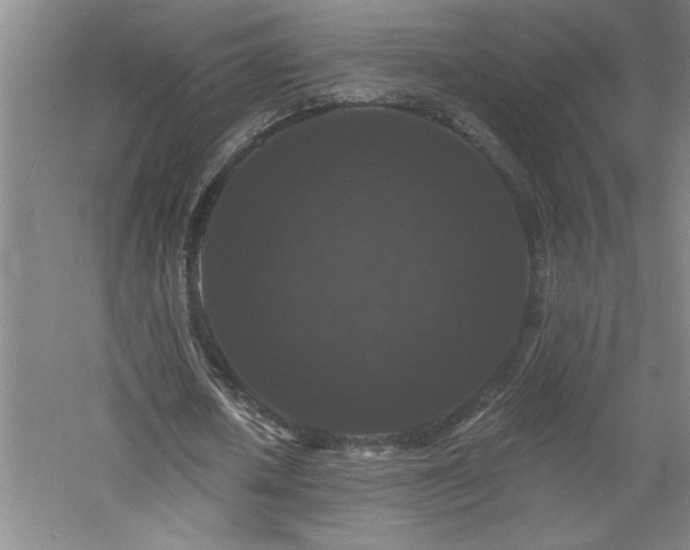 X0000060790626200511101419