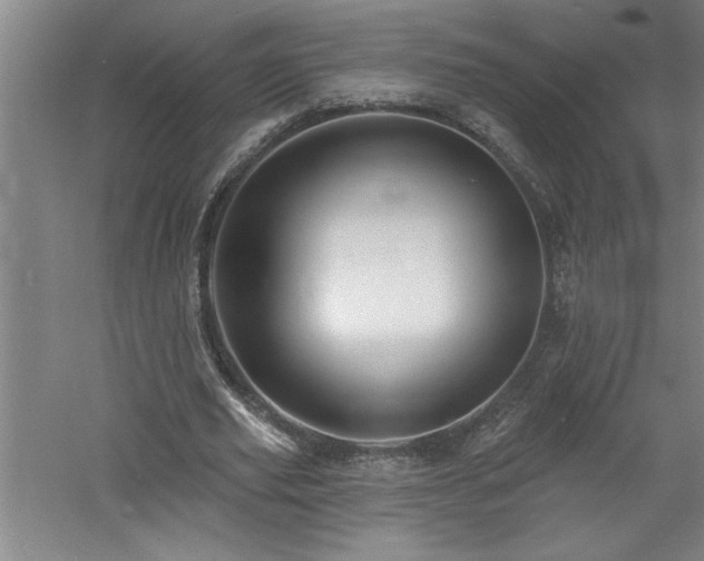 X0000060790629200511101419