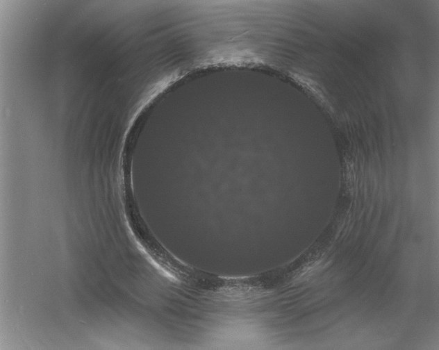 X0000060790630200511101419