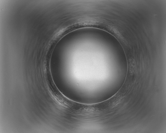 X0000060790631200511101419